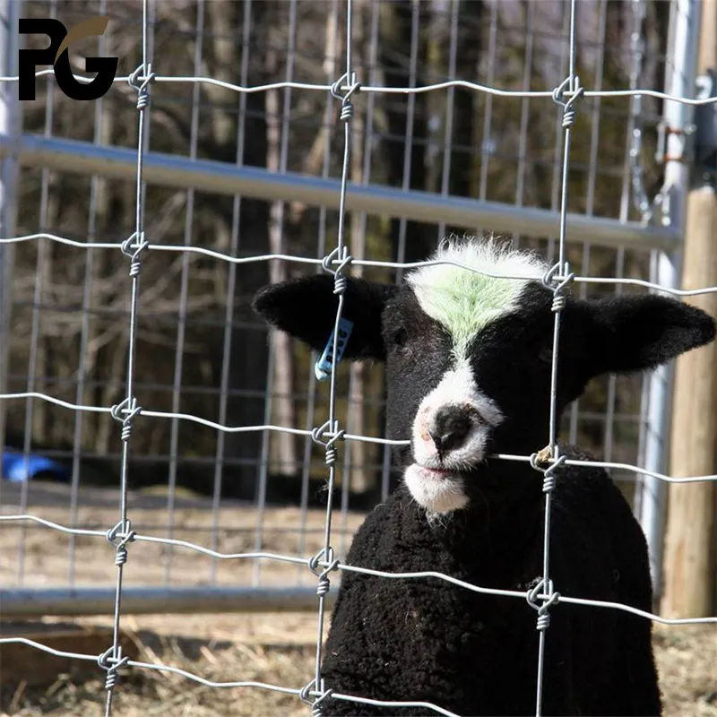 High Tensile Strength Galvanized Woven Field Sheep Wire Mesh Fence