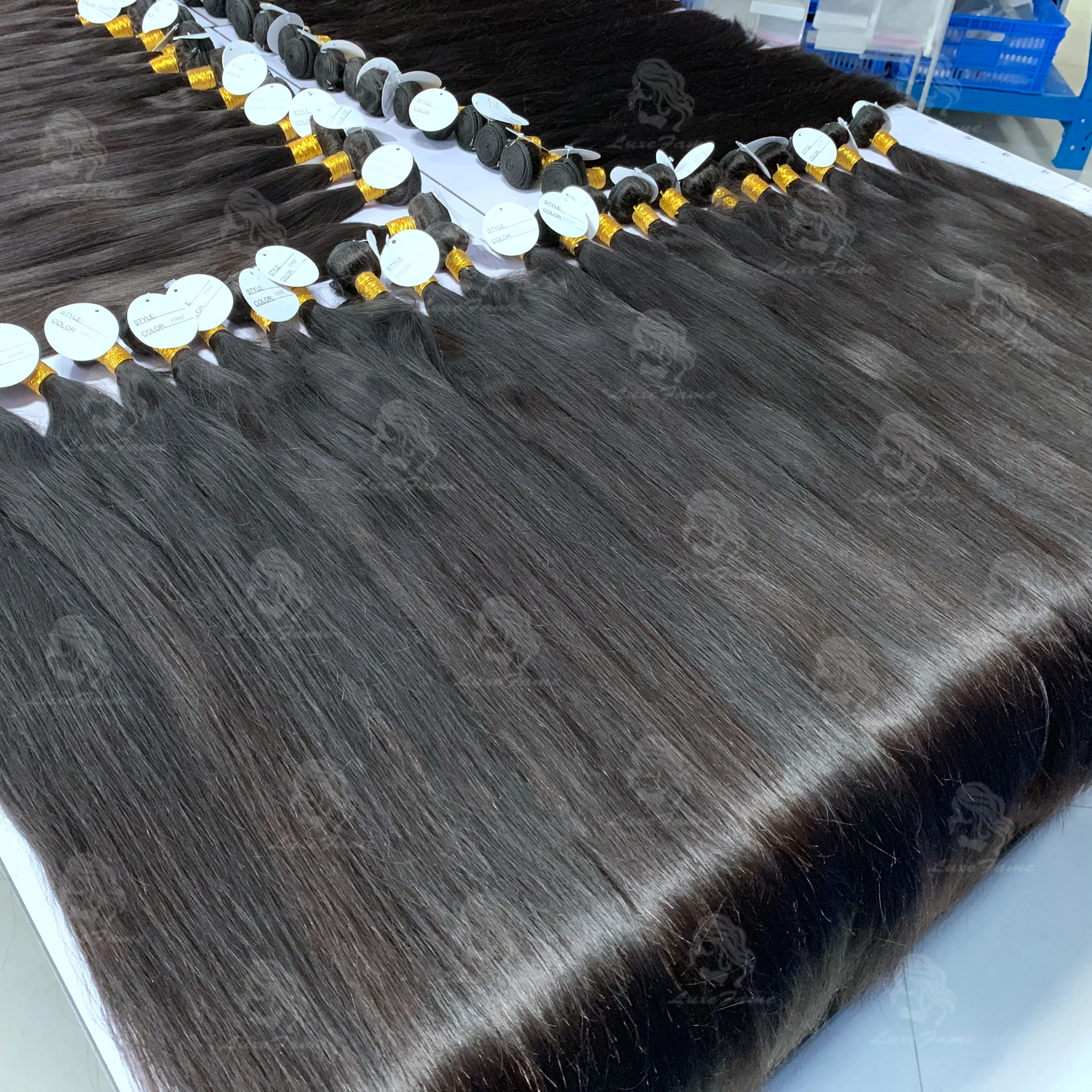 
Wholesale Raw Virgin Brazilian Cuticle Aligned Hair,Free Sample Mink Virgin Brazilian Hair Bundles,Virgin Human Hair Vendor 