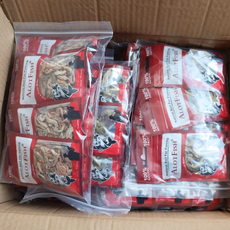 Dry Lugworm fishing bait real worm