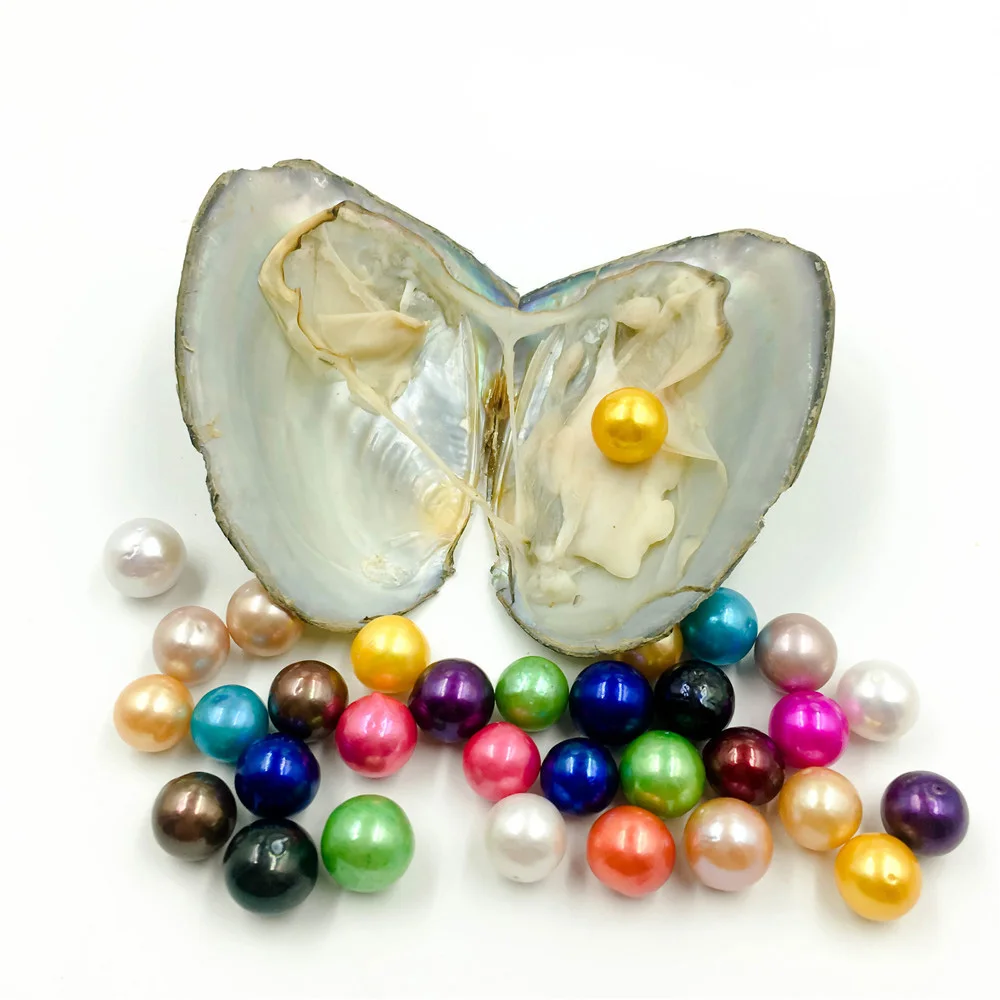 
2021 giant 9-12mm Colored Edison big large giant round grade high quality pearls natural pearls in oyster with vacuum packing 