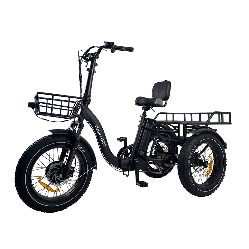 QUEENE Adult Lithium Battery Powered 350W Disc Brake 20 Inch Three Wheels Electric Bike Trike With 7 Level Pedal Assist