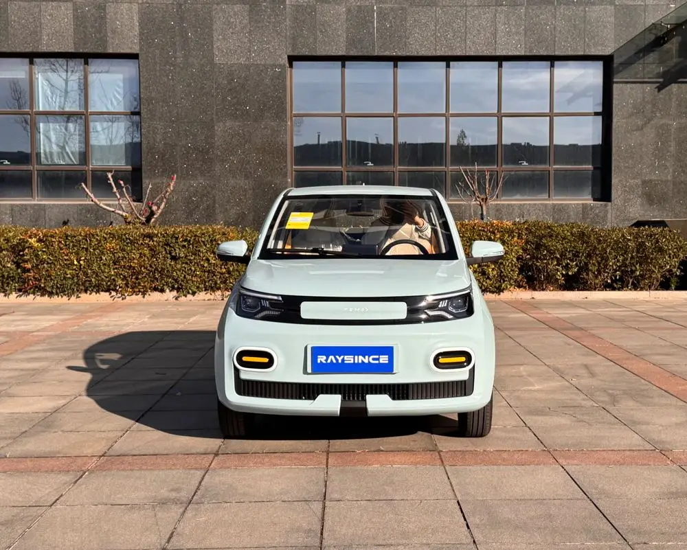 Raysince High Speed Electric Car for Adults