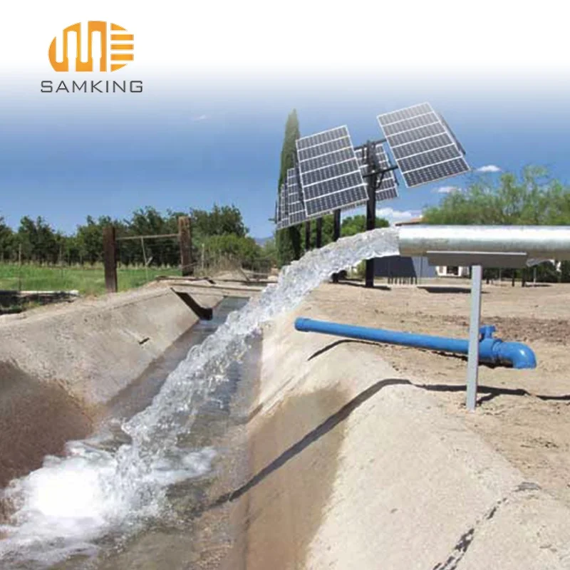 Solar Water Pumping for Agriculture Irrigation DC Submersible Well Pump with Solar Power System