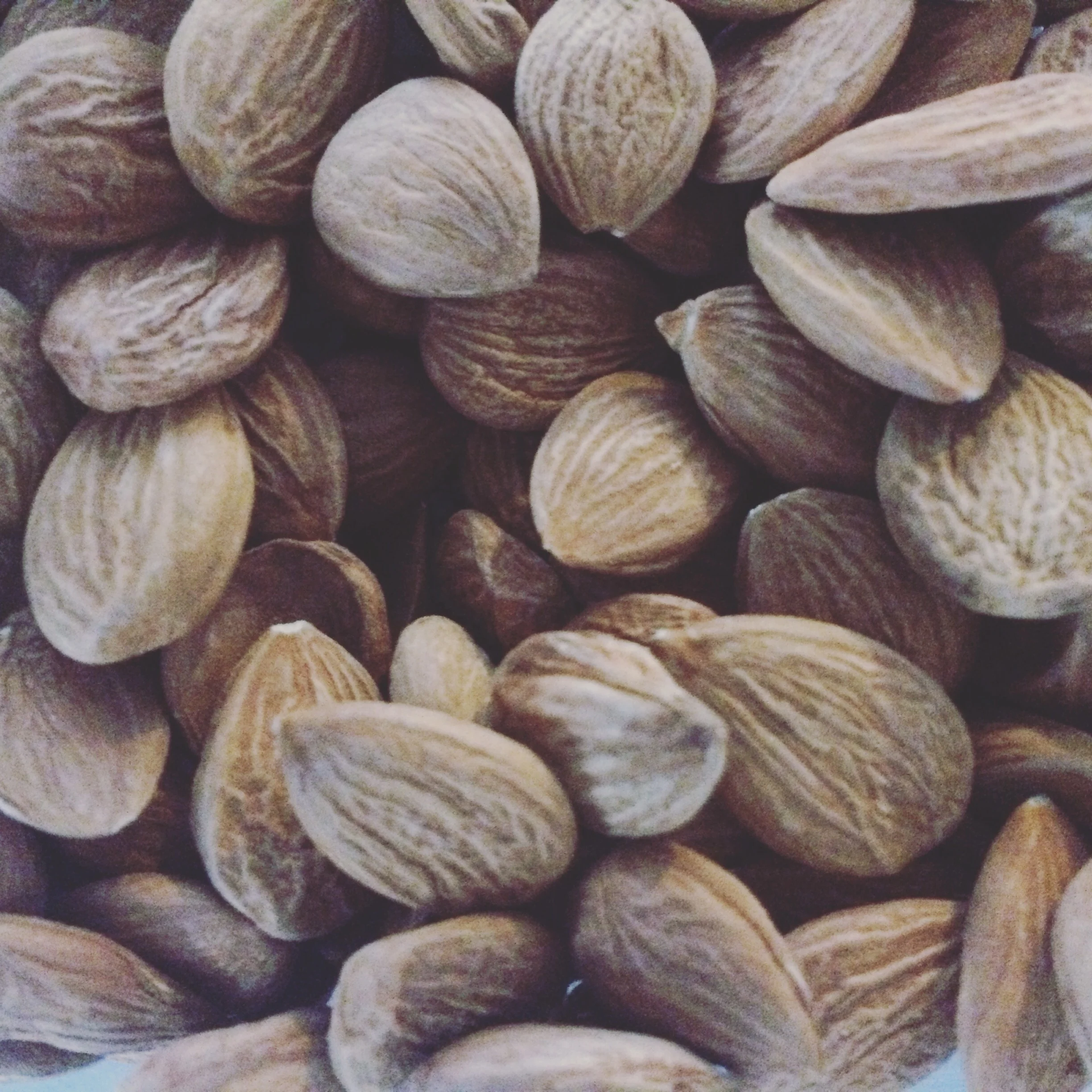  Ядра кислого и сладкого абрикоса круглогодняя