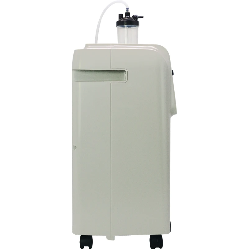 Dual flow 10l oxygen concentrator medical two outputs physical therapy