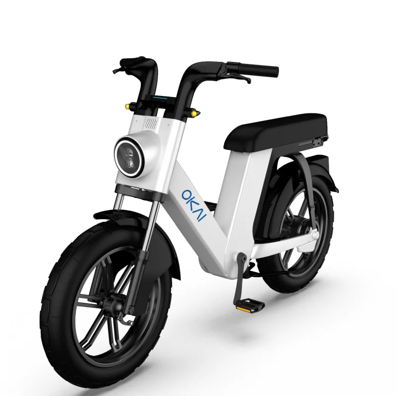  CE Good Quality Fat Tire Lithium Battery Electric Bike Bicycle 750w Ebike 48v