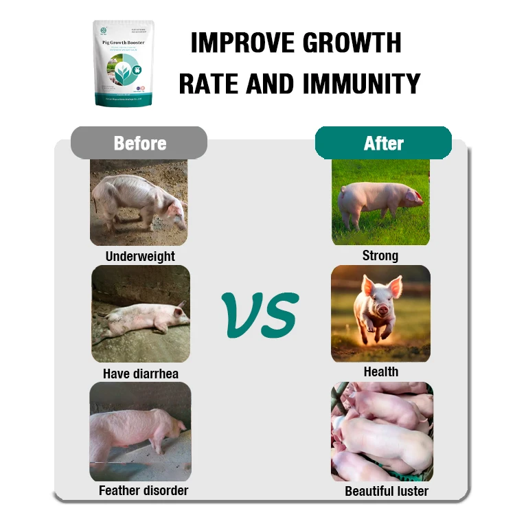 Pig Fattening Feed Growth Booster Weight Gain Multivitamin Premix with Feed Grade Premix Growth