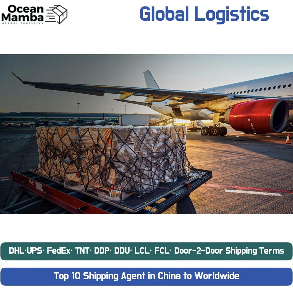 Ocean Mamba Freight Forwarder China to Pakistan India USA Shenzhen freight forwarder shipping agent