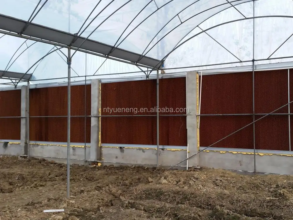 Kraft paper made Dasen Cooling pad for chicken farm pig farming