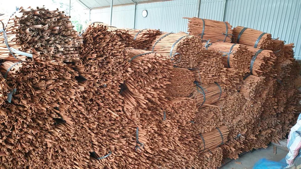 Горячая Распродажа травы и специи ярко-коричневый ароматизатор сушеные палочки корицы из Вьетнама для экспорта-Linda whatsapp 0084989322607