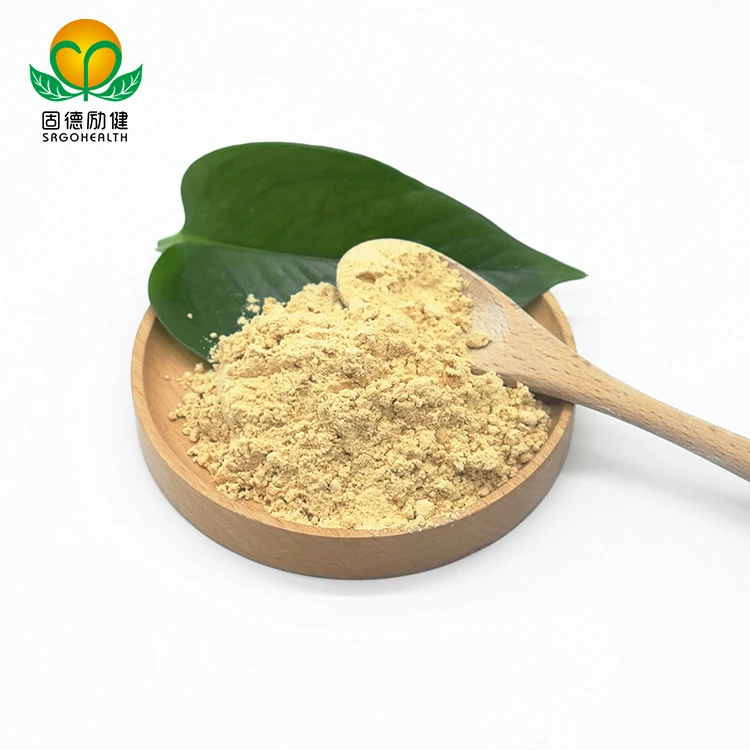 Organic Mushroom  Hericium Erinaceus Extract Powder