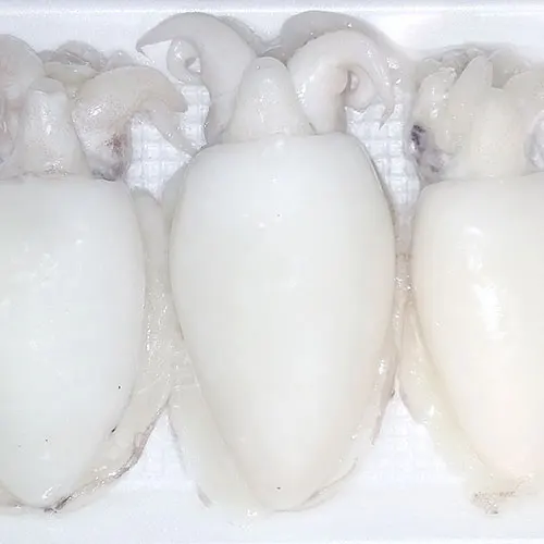 Высококачественная замороженная рыба из