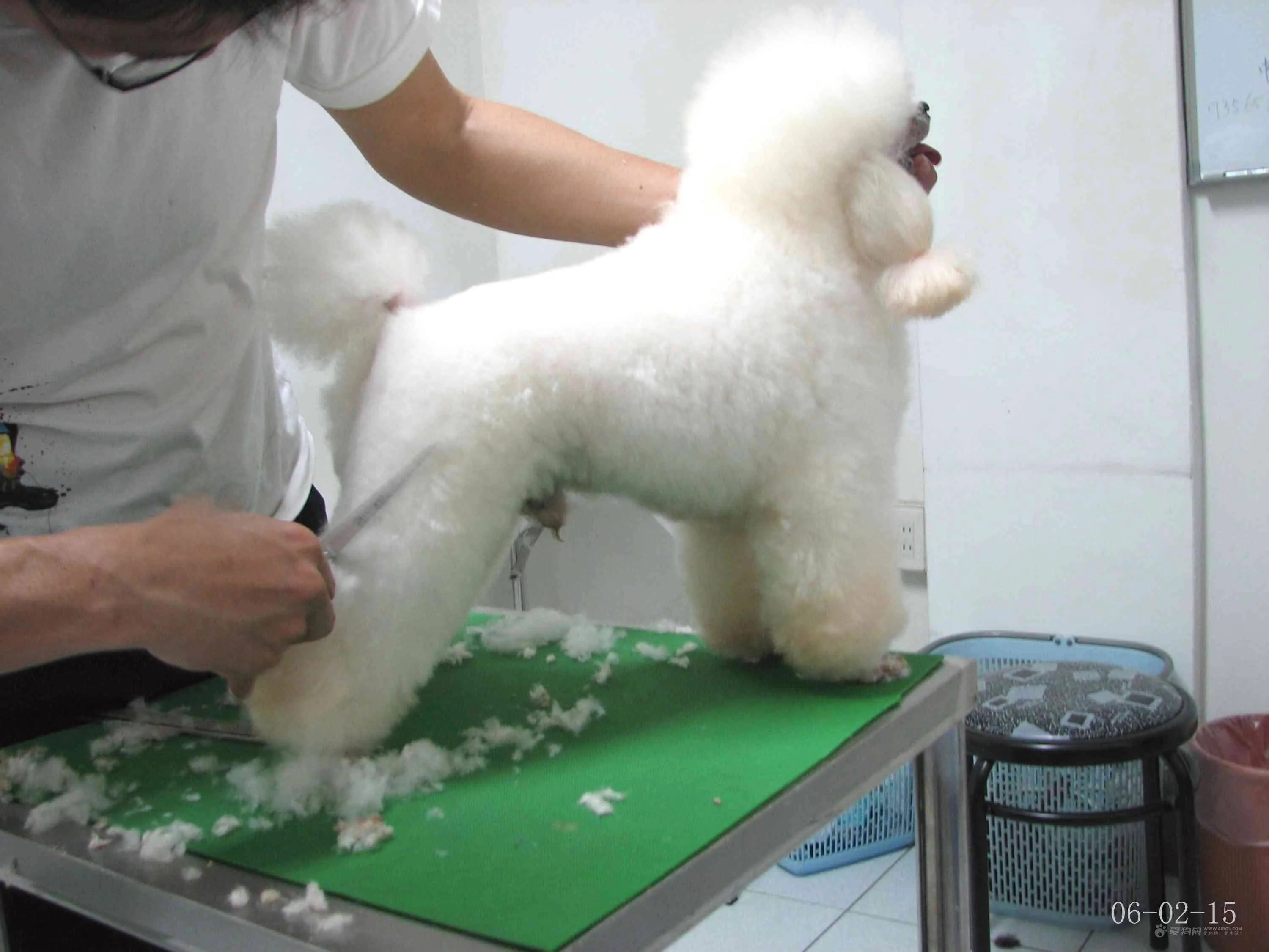 
Pet Dog Grooming Table Small Steel Legs Foldable Adjustable Professional Drying Table 