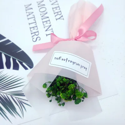 
Fresh Mini Souvenir Gypsophila Flower Bouquet 