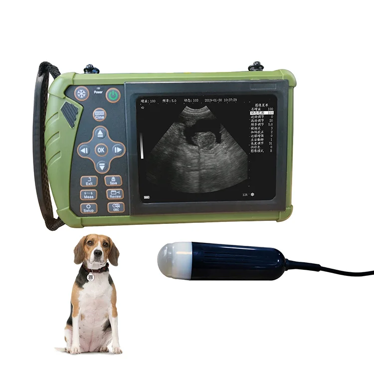 Самый дешевый 5-дюймовый инструмент для козьего скота портативный гидролокатор Ветеринарный ультразвуковой аппарат