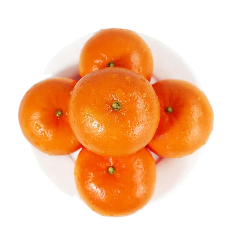 
Natural Fresh Citrus Fruit Factory Direct Sale sweet juicy and Fresh size 70/75/80/85# Mandarin Orange 
