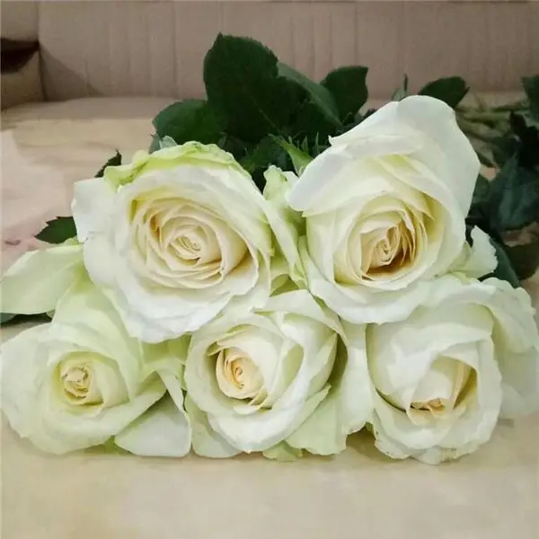 Высококачественный свежий цветок розы на ощупь для свадебного украшения