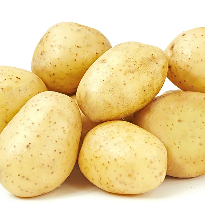 
Potatoes are grown fresh and in bulk 