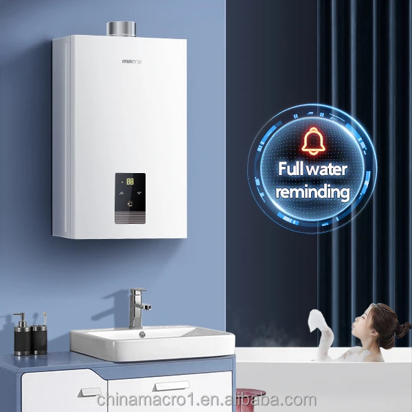 Reasonable Price Wholesale Gas Water Heater 10~16L Forced Type Gas Water Heater with High Quality