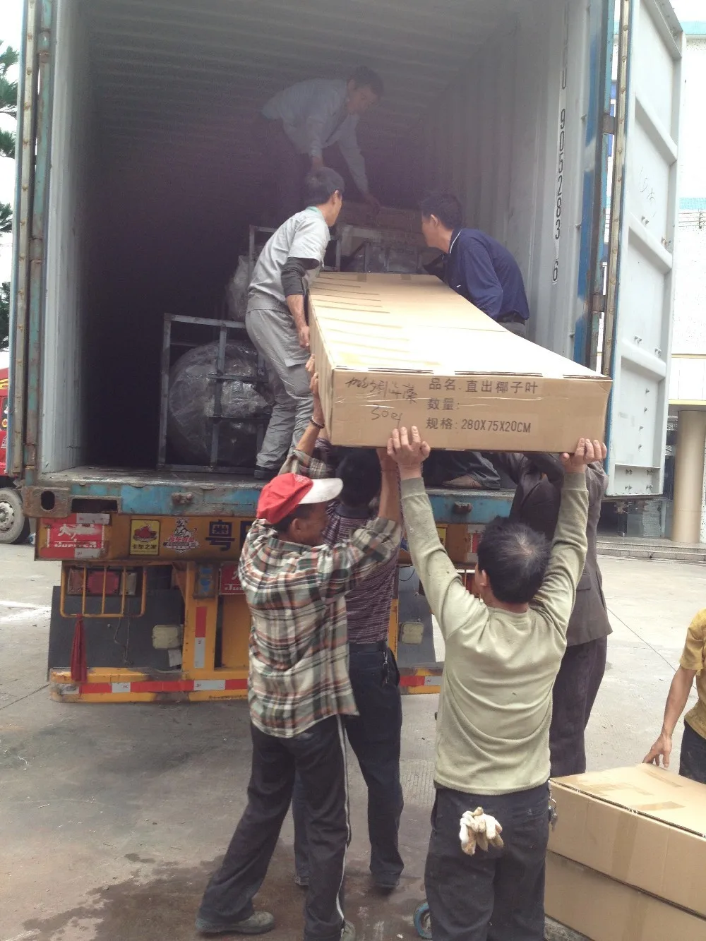 High quality Yucca tree factory spot succulent plant for Dutch iron 130cm tequila