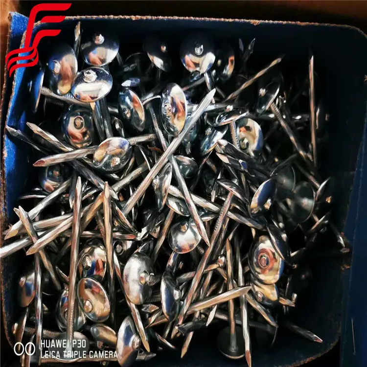 FRST!!Factory Price Cheap Roofing Nails Durable Stainless Surface Flat Galvanized Roofing Nails