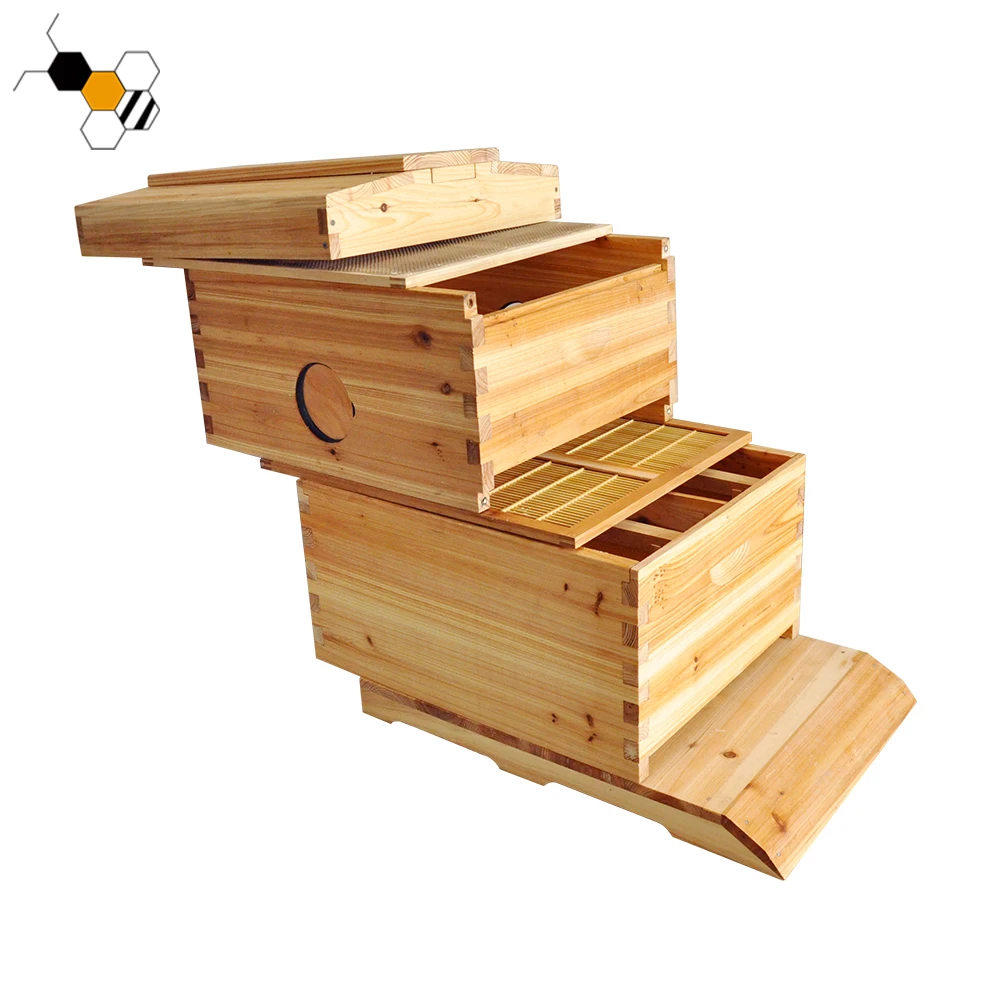 Beehive Automatic Flows Bee Hives Boxes kit Food Grade Beekeeping with 7PCS Honey Flows Frame for Beekeeper