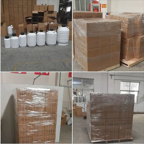 YDS-20 Biological Samples Storage Pressure Vessel Liquid Nitrogen Semen Container