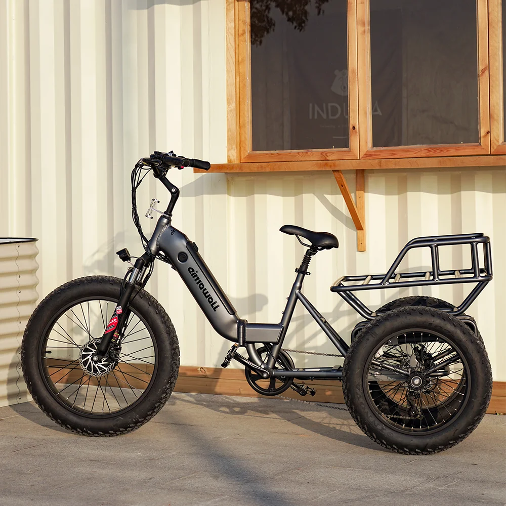 Aimos 36V/48V 250W/500W/1000W 3 Wheels Family Electric Bike folding Aluminum alloy frame electric Tricycle With Basket