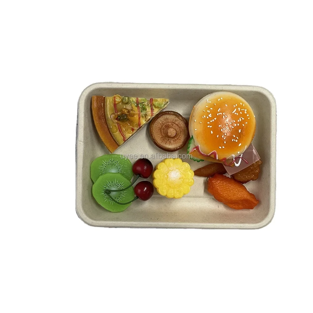Eco Friendly Biodegradable Sugarcane Bagasse Compostable Fruit Tray for Supermarket