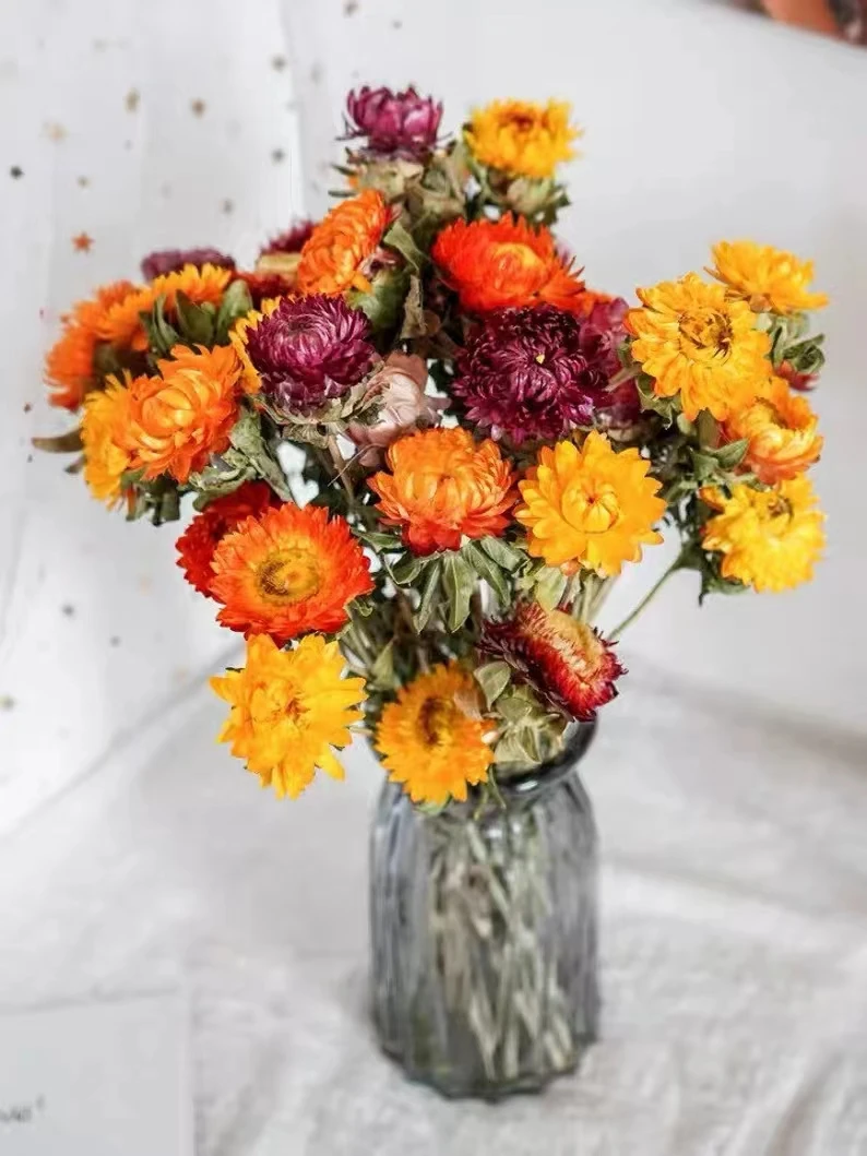 JDFG-64 20pcs Preserved Chrysanthemum Flower Arrangement Dry Plant Daisy Dried Flowers Bouquet Dried Chrysanthemum For Home