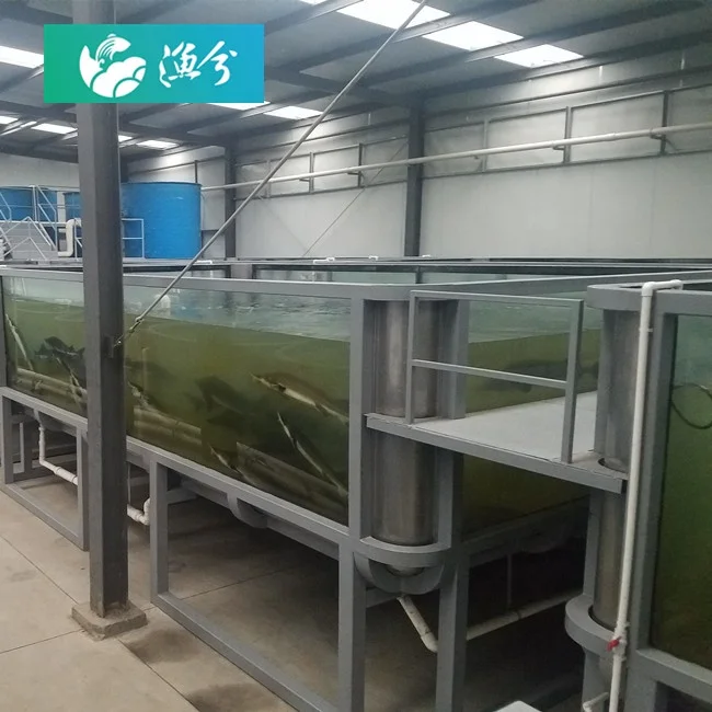 Ras Shrimp Farming Aquaculture Ras Systems Recirculating Aquaculture System Design Ras Indoor Aquaculture Fish Farming Seawater