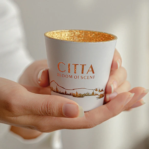 2022 Dropshipping  Christmas White and Green scented candle with Hollow Silhouette Cup and  tea wax set