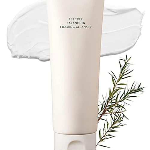 Private Label Cream Facial Wash Moisturizing and Brightening Organic Vegan Ingredients Herbal Form OEM & ODM for Dry Skin