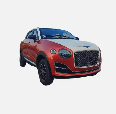 Электрический автомобиль Bentley дальность действия 200 км низкая скорость Новый энергетический