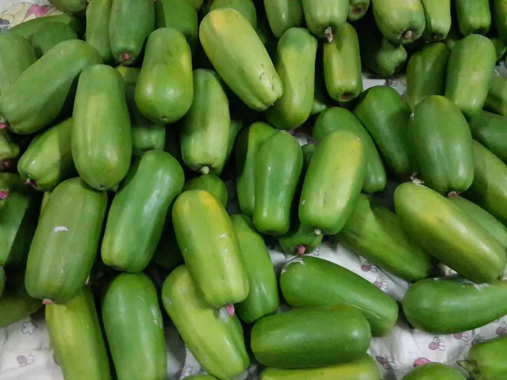 Fresh Papaya (Thailand Origin)