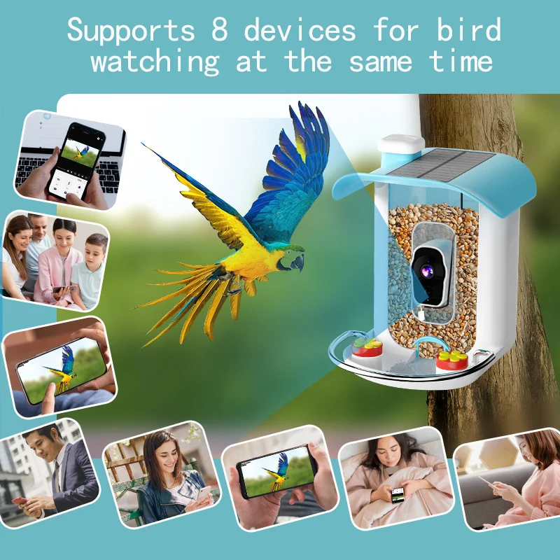 New High quality Solar powered Waterproof IP65 Video Smart Ai Bird Buddy Feeder Camera
