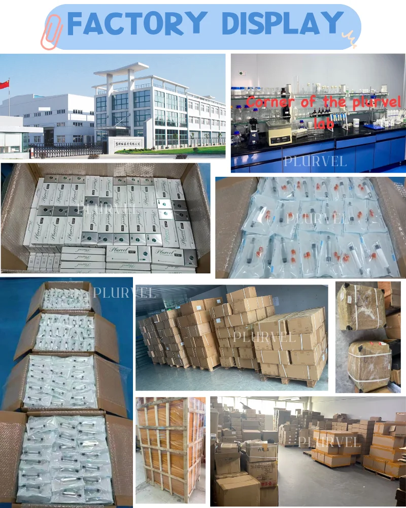 PLURVEL oem supported Injectable 10ml Dermal Filler Acid Buttocks Injection Buttock Injectable For Best butt filler