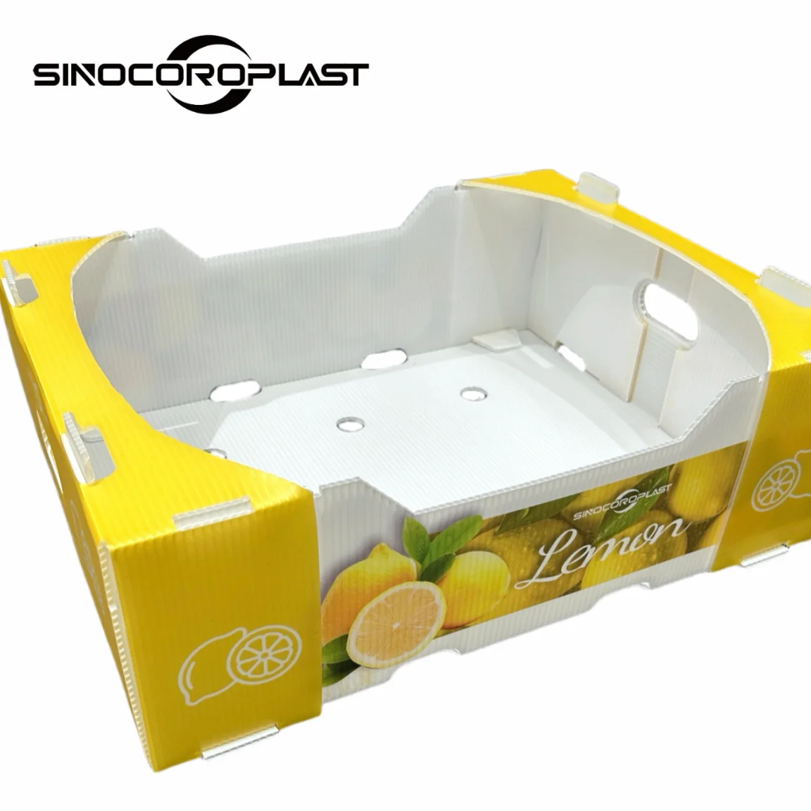 pp plastic sheet cutting board polypropylene sheets recycle vegetable fruit packaging storage boxes