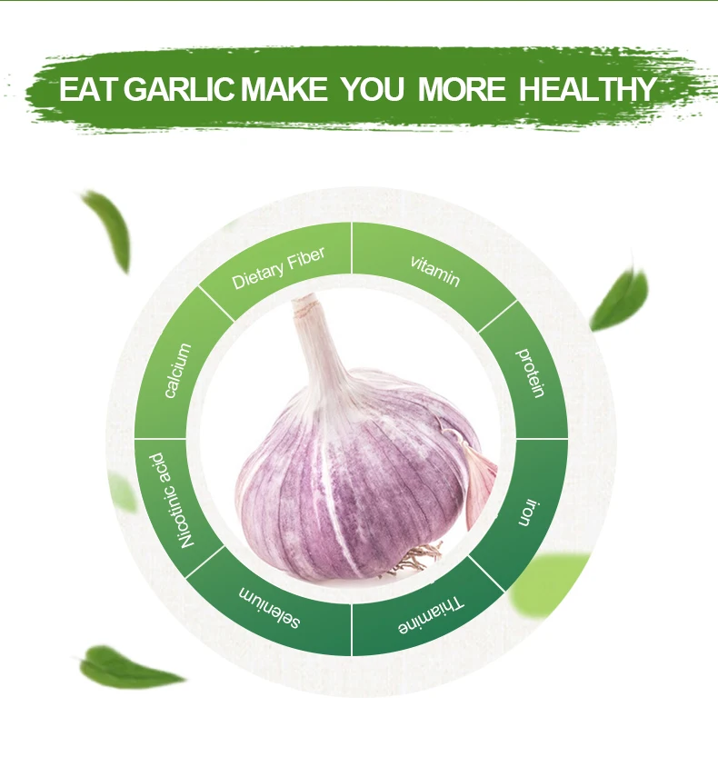 2024 fresh crop onion hybrid seed red yellow 10kg 20kg fresh onion for export