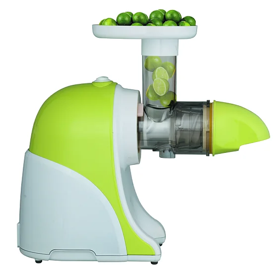 New Products Multifunctional Horizontal Fruit Slow Juicer Fast Delivery on Sale