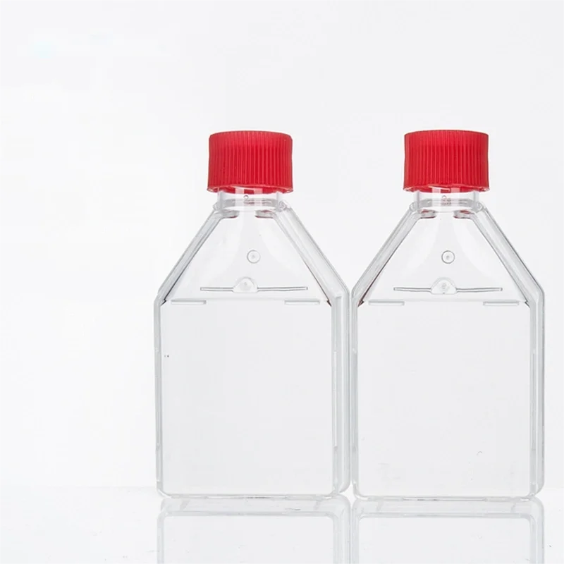 Cotaus pp culture flask placed on tray and plant tissue culture flasks orchids-flask culture