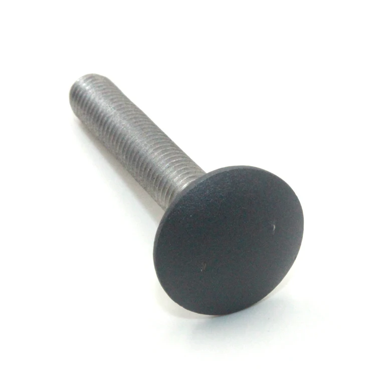 DIN 603 Galvanized Lock Bolts And Nuts Stainless Steel SS304 Black Mushroom Head Square Neck Bolts