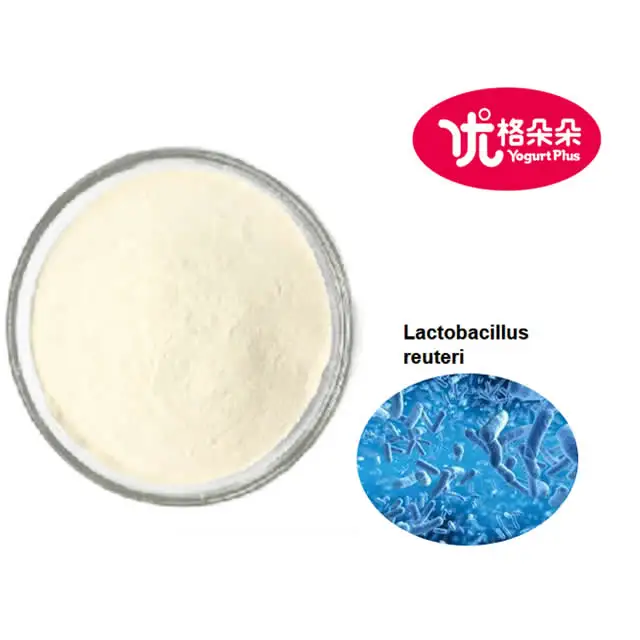 1KG Package 100 billion CFU per gram freeze-dried Lactobacillus reuteri probiotics powder for health benefits