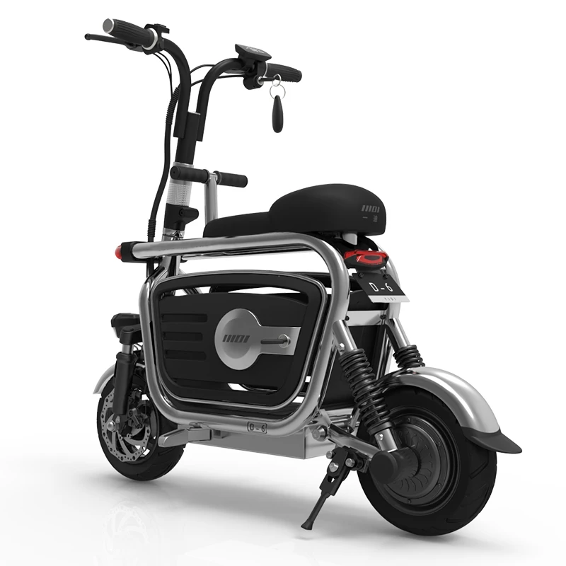 Lithium Ion Electric Bike High Range Electrical Bicycles Removable Battery Electric Bicycle