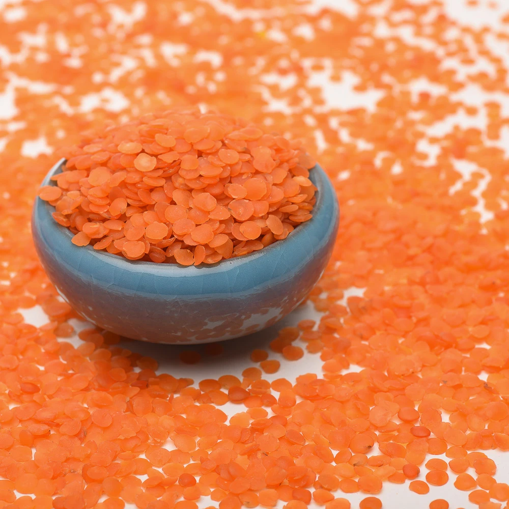  Organic Agricultural Products Red Split Lentils Crop Beans