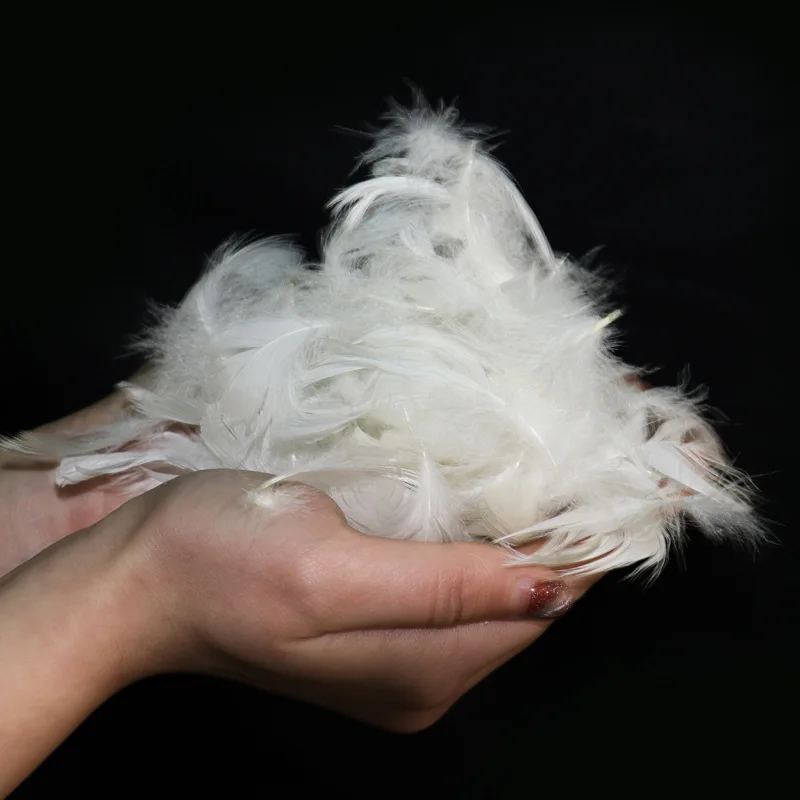 Custom Wholesale Natural White Duck Feather Filling Materials 2-4 Cm
