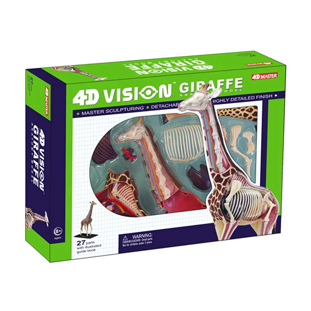 Образовательная фигурка 4D Master модель из пластика