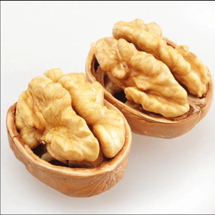 2023 New Listing 33 Xiner Chinese Walnuts in Shell 500g Bulk Dried Raw Style Walnut Kernels