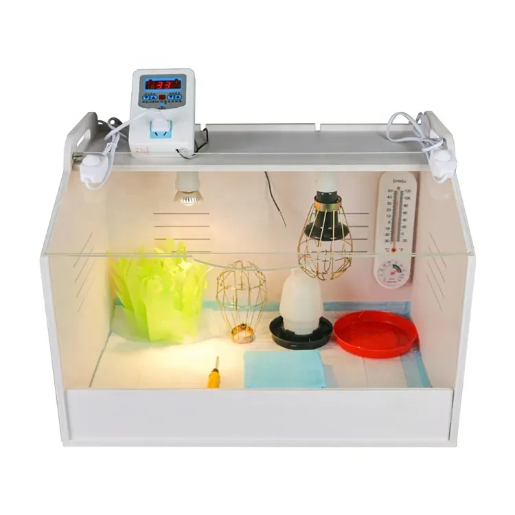 Heating Raise Small Size Crawling Duck Goose Quail Rare Birds Chicken Brooder Breeding Box Brooder For Baby Poultry