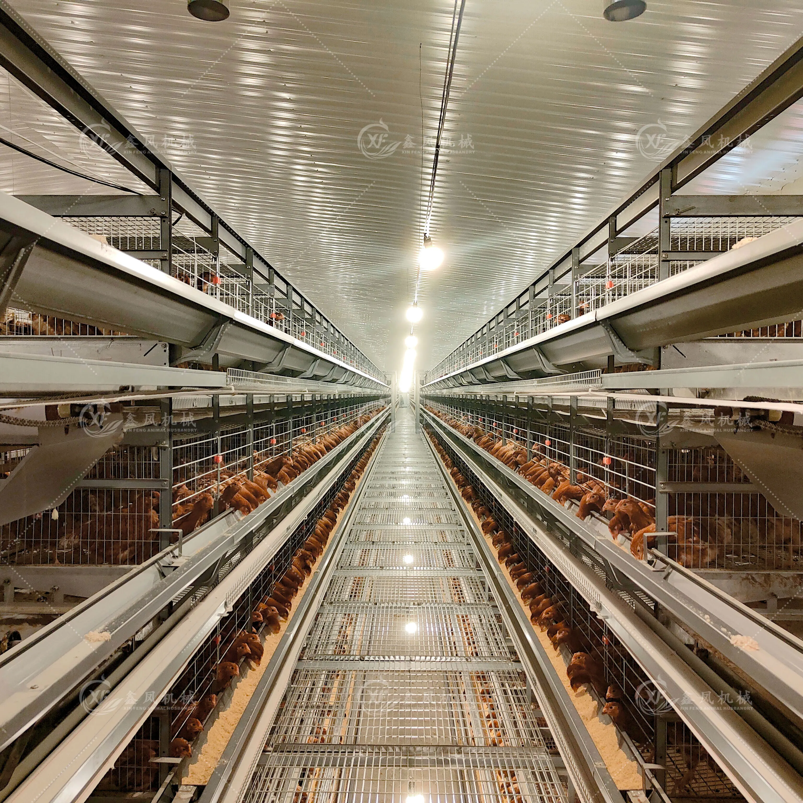 Poultry Farm Equipment 3 Tiers 8 Tiers Full Automatic Chicken Layer Battery Cage for Egg Laying Hens